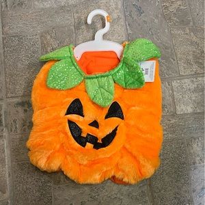 🎃Halloween pumpkin costume for pet